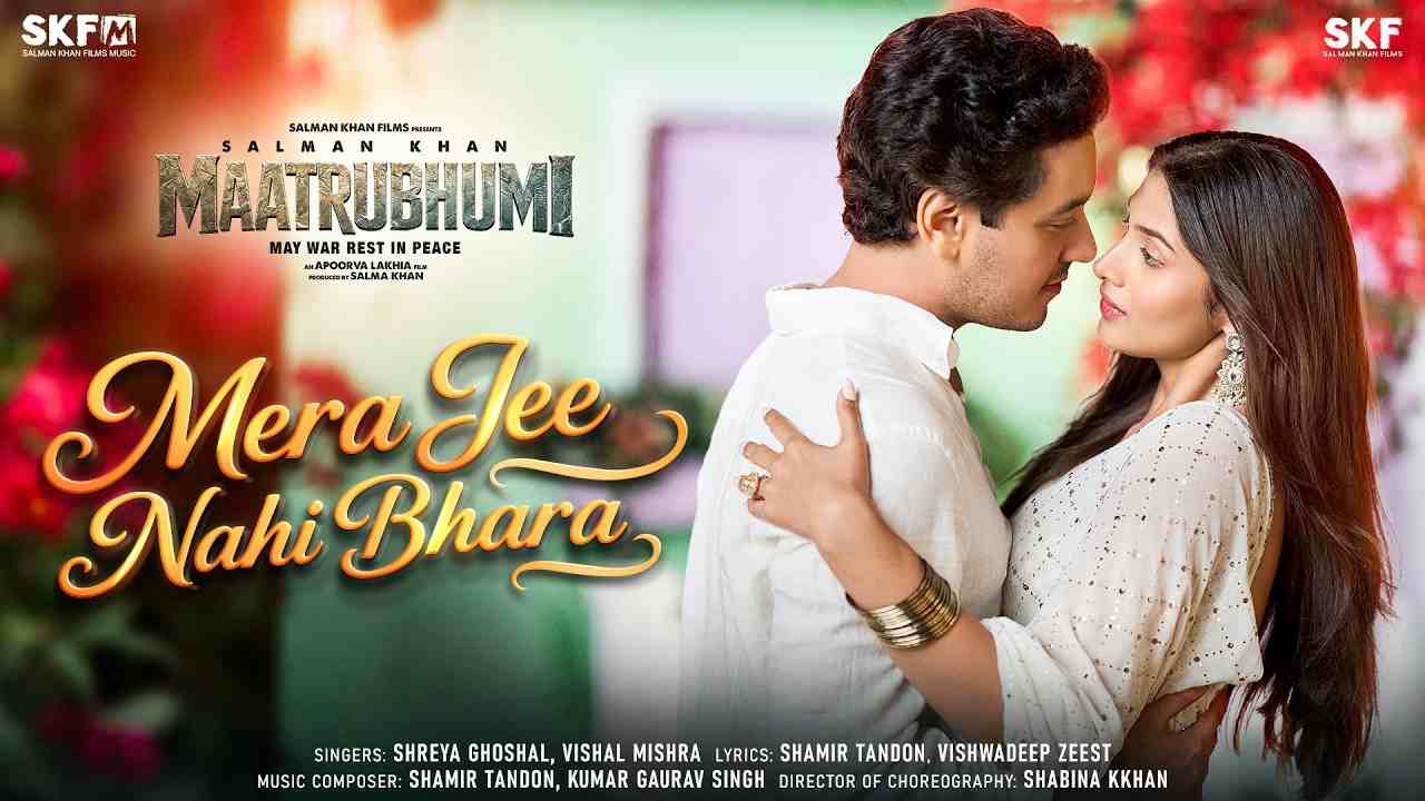 Mera Jee Nahi Bhara Lyrics English Translation - Shreya Ghoshal, Vishal Mishra